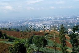 Tanah Kosong Dijual di Bandung dengan Area 1179m2 Tanah Kosong Dijual di Bandung dengan Area 1179m2