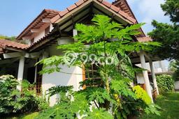Rumah Elit Modern Siap Huni di Lebak Bulus Jakarta Selatan Rumah Elit Modern Siap Huni di Lebak Bulus Jakarta Selatan