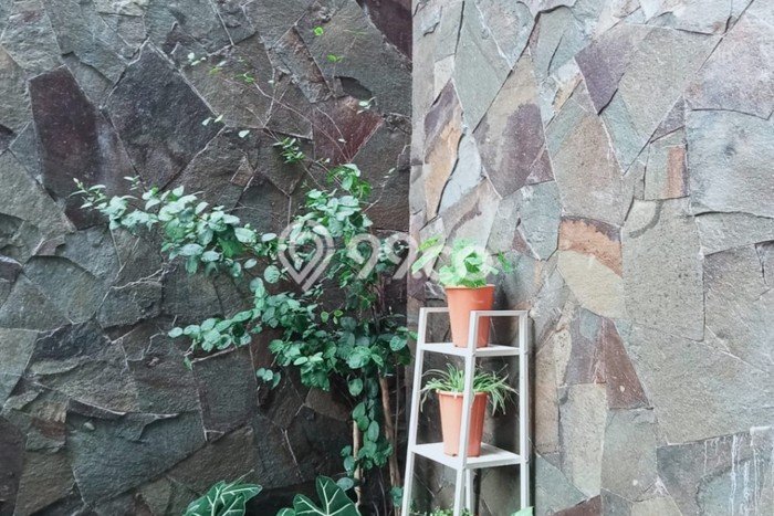 For Sale Rumah 3 Kamar Lokasi Ideal Nyaman dan Strategis di Cipocok Jaya For Sale Rumah 3 Kamar Lokasi Ideal Nyaman dan Strategis di Cipocok Jaya