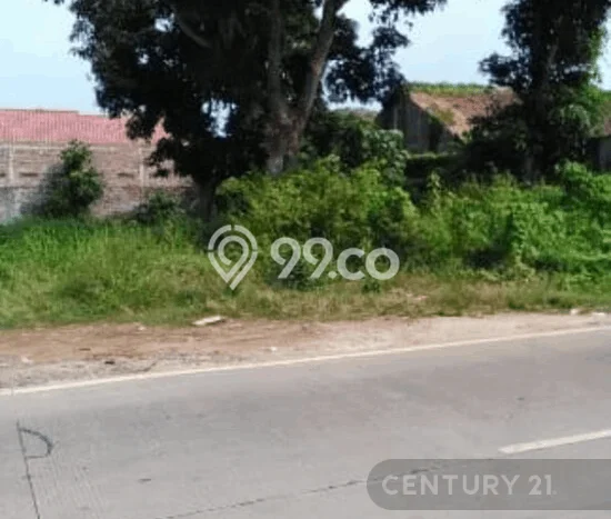 Tanah Dijual Lokasi Taktakan, Serang Luas 697m2 Legalitas Aman Tanah Dijual Lokasi Taktakan, Serang Luas 697m2 Legalitas Aman