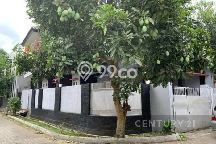Rumah Luas Asri 4 KT Siap Pakai di Ciracas Serang Rumah Luas Asri 4 KT Siap Pakai di Ciracas Serang
