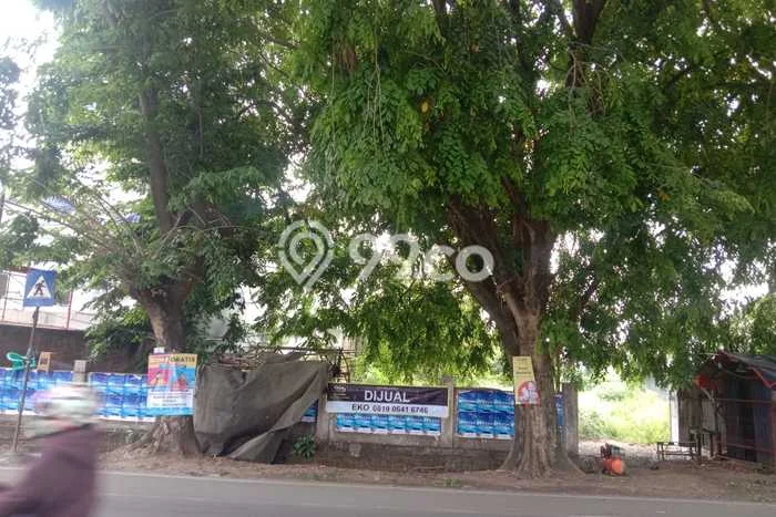 Dijual Tanah di Taktakan Serang Luas 3002m2 SHM Dijual Tanah di Taktakan Serang Luas 3002m2 SHM