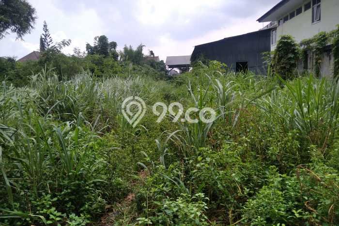 Dijual Tanah di Taktakan Serang Luas 3002m2 SHM Dijual Tanah di Taktakan Serang Luas 3002m2 SHM