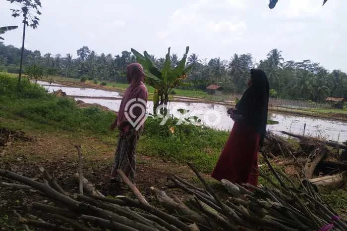 Kavling Tanah Dijual di Baros Serang Spesifikasi 3900m2 Kavling Tanah Dijual di Baros Serang Spesifikasi 3900m2