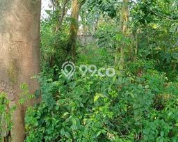 Tanah Dijual Lokasi Cibeber, Cilegon Luas 299m2 Legalitas Aman Tanah Dijual Lokasi Cibeber, Cilegon Luas 299m2 Legalitas Aman