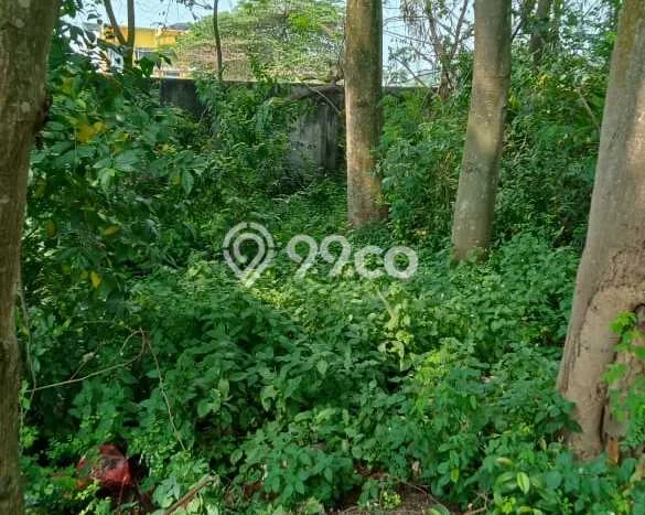 Tanah Dijual Lokasi Cibeber, Cilegon Luas 299m2 Legalitas Aman Tanah Dijual Lokasi Cibeber, Cilegon Luas 299m2 Legalitas Aman