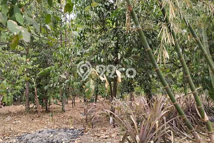 Lahan Investasi Lokasi Taktakan Serang SHM Lahan Investasi Lokasi Taktakan Serang SHM