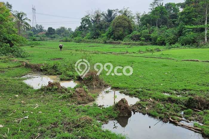 Tanah di Taktakan, Serang Luas 62000m2 Dijual Segera Tanah di Taktakan, Serang Luas 62000m2 Dijual Segera