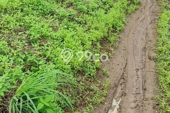 Tanah Dijual Area Strategis di Cilegon Indah Cilegon 3644m2 Tanah Dijual Area Strategis di Cilegon Indah Cilegon 3644m2