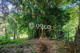 Tanah Kosong Dijual di Pandeglang dengan Area 1700m2 Tanah Kosong Dijual di Pandeglang dengan Area 1700m2