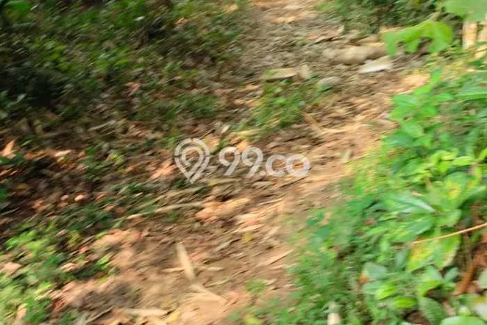 Lahan Kosong Dijual di Pamarayan, Serang, Luas 14779m2 Area Strategis Lahan Kosong Dijual di Pamarayan, Serang, Luas 14779m2 Area Strategis
