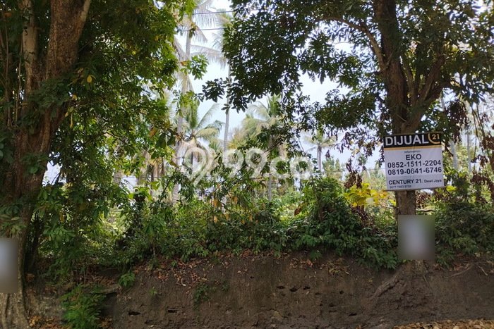 Tanah di Ciwandan, Cilegon Luas 907m2 Dijual Segera Tanah di Ciwandan, Cilegon Luas 907m2 Dijual Segera