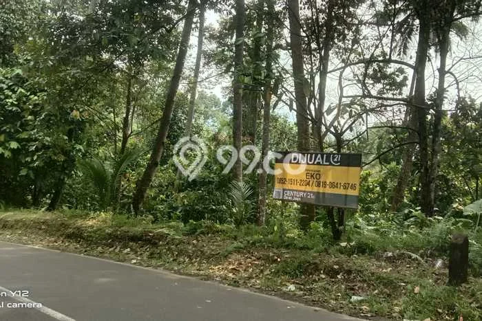 Lahan Kosong Dijual di Ciomas, Serang, Luas 35303m2 Area Strategis Lahan Kosong Dijual di Ciomas, Serang, Luas 35303m2 Area Strategis
