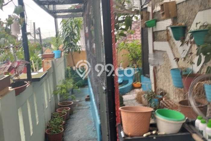 Rumah Luas Asri 3 KT Siap Pakai di Gerogol Cilegon Rumah Luas Asri 3 KT Siap Pakai di Gerogol Cilegon