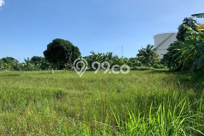 Tanah Siap Bangun Dijual di Cilegon Punya Luas 90482m2 Tanah Siap Bangun Dijual di Cilegon Punya Luas 90482m2