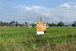 Tanah Dijual Lokasi Kramatwatu, Serang Luas 4487m2 Legalitas Aman Tanah Dijual Lokasi Kramatwatu, Serang Luas 4487m2 Legalitas Aman