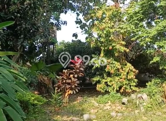 Tanah Disewakan Lokasi Cilegon Seluas 3000m2 Strategis dan Aman Tanah Disewakan Lokasi Cilegon Seluas 3000m2 Strategis dan Aman
