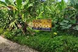 Tanah untuk Dijual di Pandeglang Pandeglang Luas 308m2 Tanah untuk Dijual di Pandeglang Pandeglang Luas 308m2