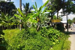 Tanah Dijual Lokasi Pandeglang, Pandeglang dengan Luas Tanah 933m2 dan Status SHM Tanah Dijual Lokasi Pandeglang, Pandeglang dengan Luas Tanah 933m2 dan Status SHM