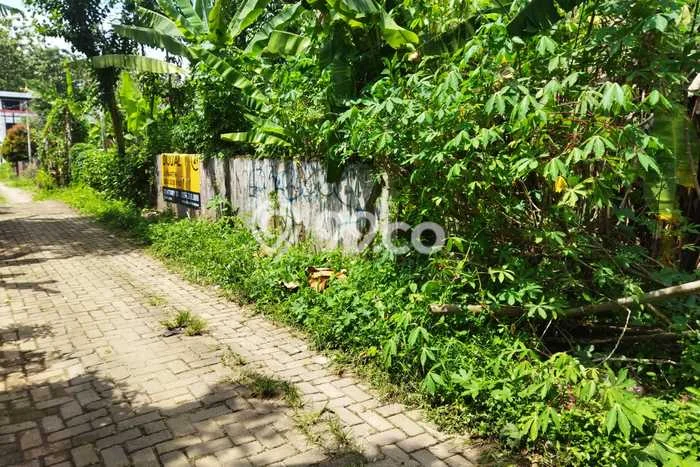 Tanah Dijual Lokasi Pandeglang Pandeglang SHM Tanah Dijual Lokasi Pandeglang Pandeglang SHM
