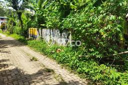 Tanah Dijual Lokasi Pandeglang Pandeglang SHM Tanah Dijual Lokasi Pandeglang Pandeglang SHM