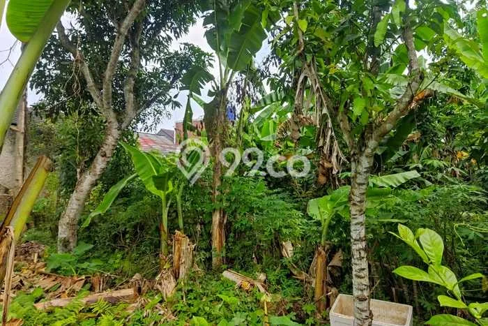 Tanah Dijual Lokasi Pandeglang Pandeglang SHM Tanah Dijual Lokasi Pandeglang Pandeglang SHM