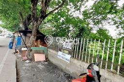 Dijual Tanah 3000m2 di Lopang, Serang Dijual Tanah 3000m2 di Lopang, Serang
