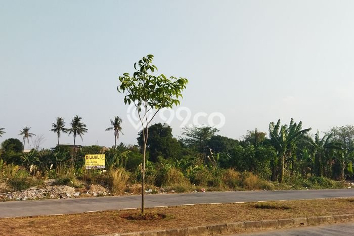 Lahan Dijual Lokasi Jombang, Cilegon dengan Luas Tanah 3694m2 dan Status SHM Lahan Dijual Lokasi Jombang, Cilegon dengan Luas Tanah 3694m2 dan Status SHM
