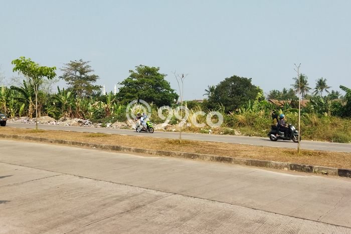 Lahan Dijual Lokasi Jombang, Cilegon dengan Luas Tanah 3694m2 dan Status SHM Lahan Dijual Lokasi Jombang, Cilegon dengan Luas Tanah 3694m2 dan Status SHM