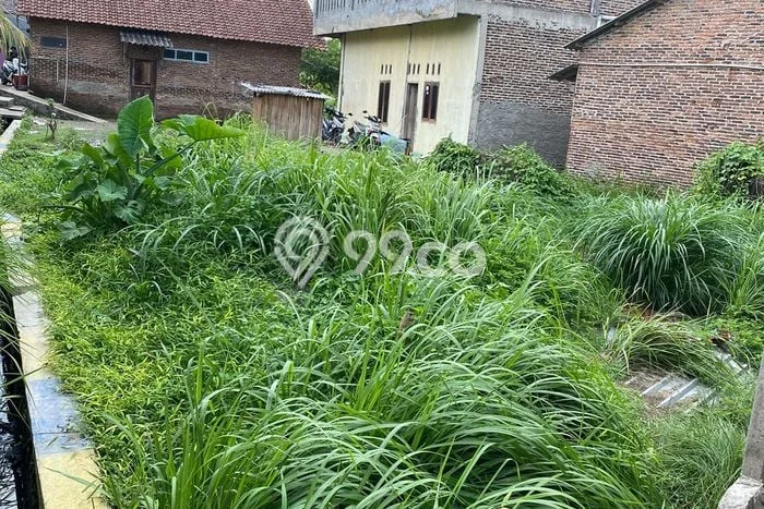 Tanah untuk Dijual di Jombang Cilegon Luas 146m2 Tanah untuk Dijual di Jombang Cilegon Luas 146m2