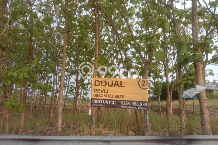 Tanah Komersial Dijual di Cibeber Cilegon 3000m2 Tanah Komersial Dijual di Cibeber Cilegon 3000m2