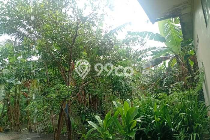 Rumah Strategis Minimalis Lb 700m2 di Airmadidi, Minahasa Utara Rumah Strategis Minimalis Lb 700m2 di Airmadidi, Minahasa Utara