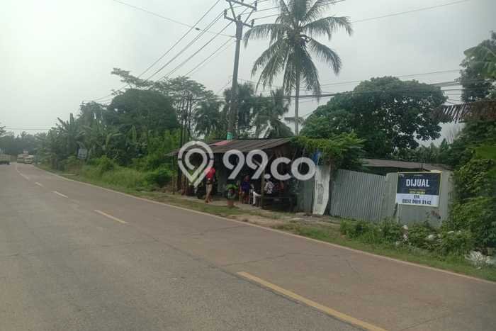 Kavling Tanah di Labuan Dijual Luas 1007m2 Legalitas SHM Kavling Tanah di Labuan Dijual Luas 1007m2 Legalitas SHM