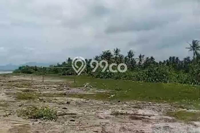 Tanah Strategis Dijual di Panimbang Pandeglang 170000m2 Tanah Strategis Dijual di Panimbang Pandeglang 170000m2