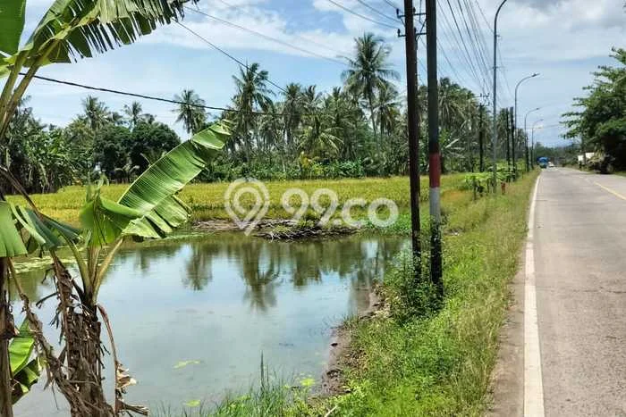 Tanah Strategis Dijual di Panimbang Pandeglang 170000m2 Tanah Strategis Dijual di Panimbang Pandeglang 170000m2