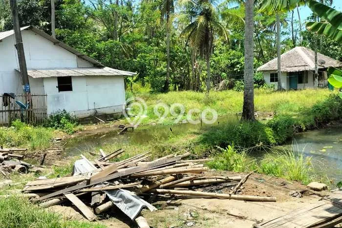 Tanah Strategis Dijual di Panimbang Pandeglang 170000m2 Tanah Strategis Dijual di Panimbang Pandeglang 170000m2