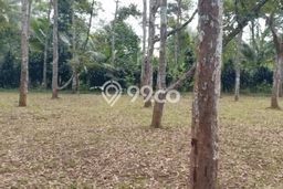 Tanah Kawasan Baros, Luas 4660m2m², Dekat Baros, Serang, Serang Tanah Kawasan Baros, Luas 4660m2m², Dekat Baros, Serang, Serang