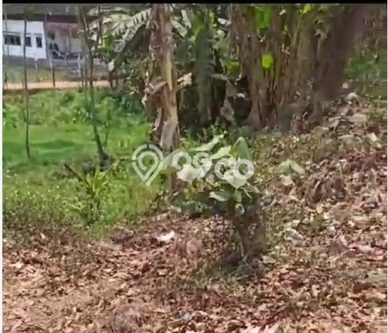 Kavling Tanah Dijual di Batang, Batang, Luas 1132m2 Area Strategis Kavling Tanah Dijual di Batang, Batang, Luas 1132m2 Area Strategis