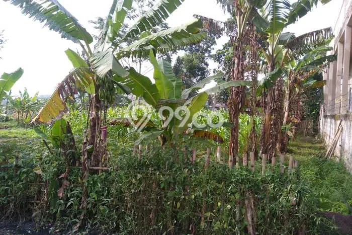 Lahan untuk Dijual di Jambe Tangerang Luas 344m2 Lahan untuk Dijual di Jambe Tangerang Luas 344m2
