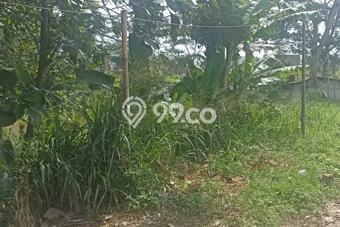 Tanah Kavling untuk Disewa di Ciomas Serang 2000m2 Tanah Kavling untuk Disewa di Ciomas Serang 2000m2