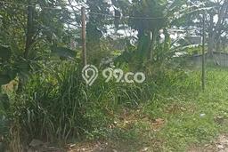 Tanah Kavling untuk Disewa di Ciomas Serang 2000m2 Tanah Kavling untuk Disewa di Ciomas Serang 2000m2