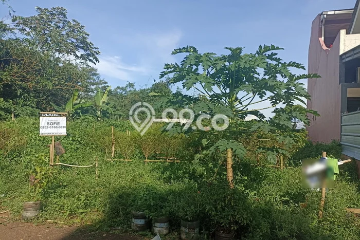Tanah Dijual Lokasi Rumpin, Bogor Luas 195m2 Legalitas Aman Tanah Dijual Lokasi Rumpin, Bogor Luas 195m2 Legalitas Aman