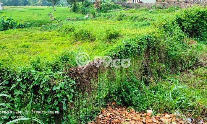Dijual Tanah di Pandaan Pasuruan Luas 10652m2 SHM Dijual Tanah di Pandaan Pasuruan Luas 10652m2 SHM