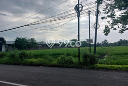 Tanah Dijual Lokasi Sidoarjo, Sidoarjo Luas 3557m2 Legalitas Aman Tanah Dijual Lokasi Sidoarjo, Sidoarjo Luas 3557m2 Legalitas Aman