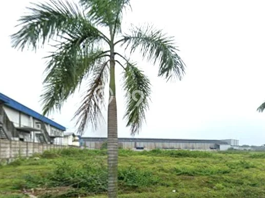 Tanah Dijual Lokasi Cikande, Serang Luas 9600m2 Legalitas Aman Tanah Dijual Lokasi Cikande, Serang Luas 9600m2 Legalitas Aman