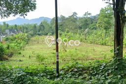 Tanah Dijual Lokasi Banyuwangi Banyuwangi SHM Tanah Dijual Lokasi Banyuwangi Banyuwangi SHM