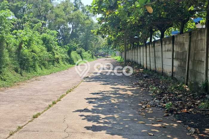 Jarang Ada! Tanah di Subang Punya Luas 120000m2 SHM Jarang Ada! Tanah di Subang Punya Luas 120000m2 SHM