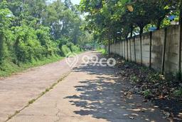 Jarang Ada! Tanah di Subang Punya Luas 120000m2 SHM Jarang Ada! Tanah di Subang Punya Luas 120000m2 SHM