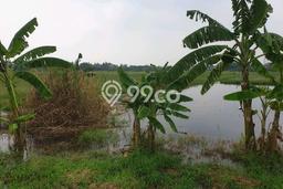 Tanah Kavling untuk Dijual di Sidoarjo Sidoarjo 32000m2 Tanah Kavling untuk Dijual di Sidoarjo Sidoarjo 32000m2