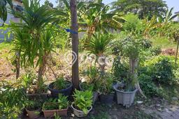 Dijual Tanah Lokasi Raya Margorejo, Surabaya Seluas 414m2 Dijual Tanah Lokasi Raya Margorejo, Surabaya Seluas 414m2